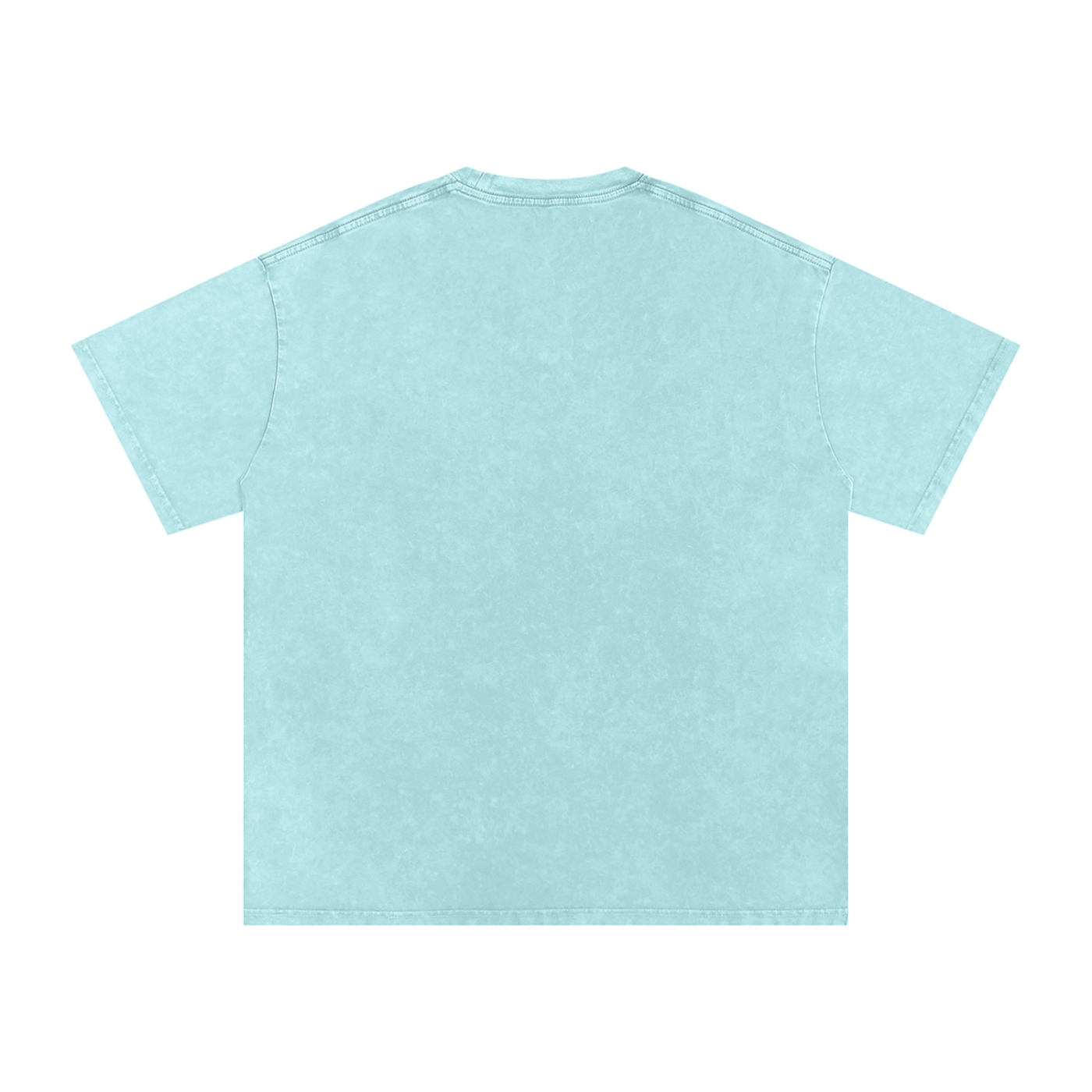 TST Snow Washed Oversized T