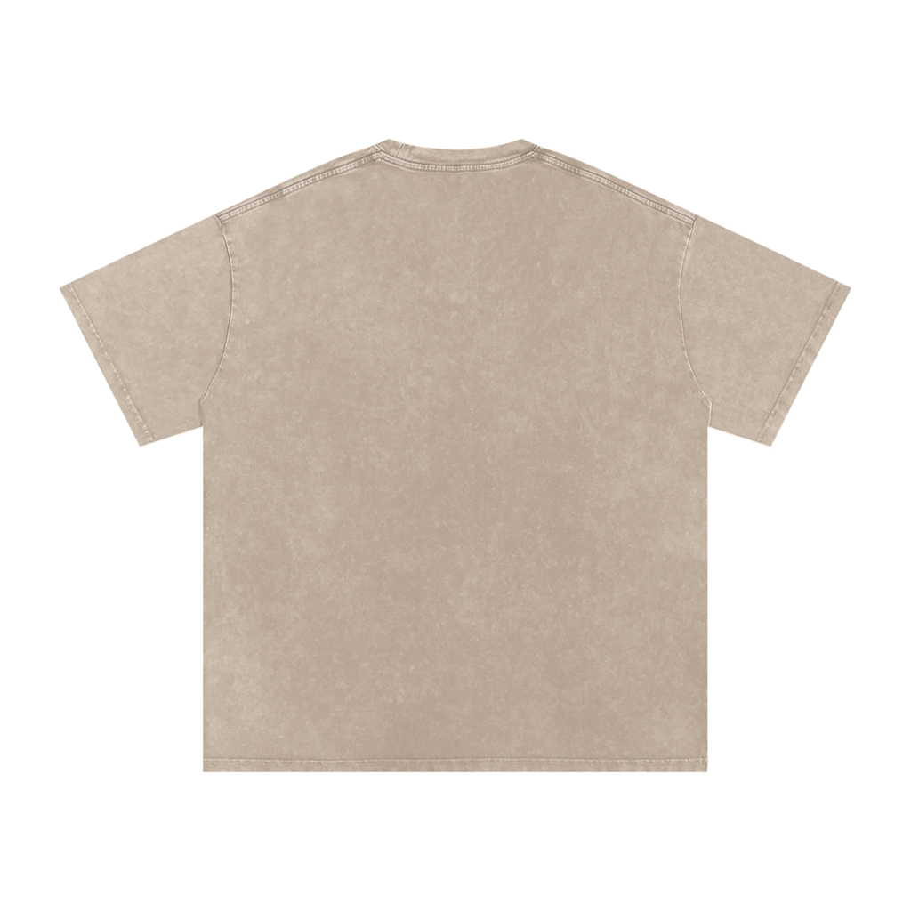 TST Snow Washed Oversized T