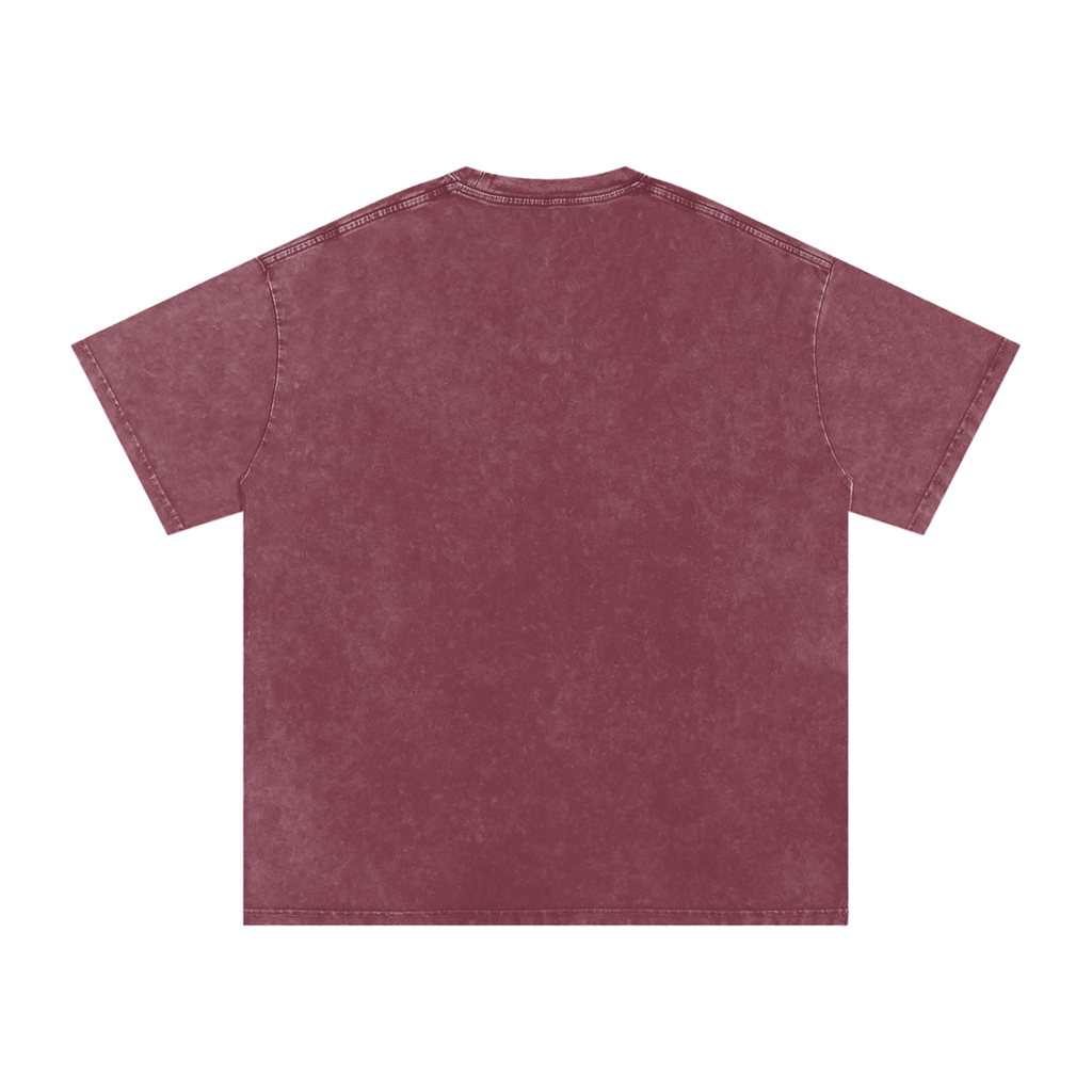TST Snow Washed Oversized T