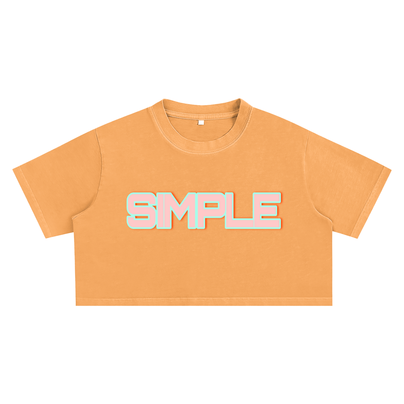 SIMPLE Snow Washed Crop T