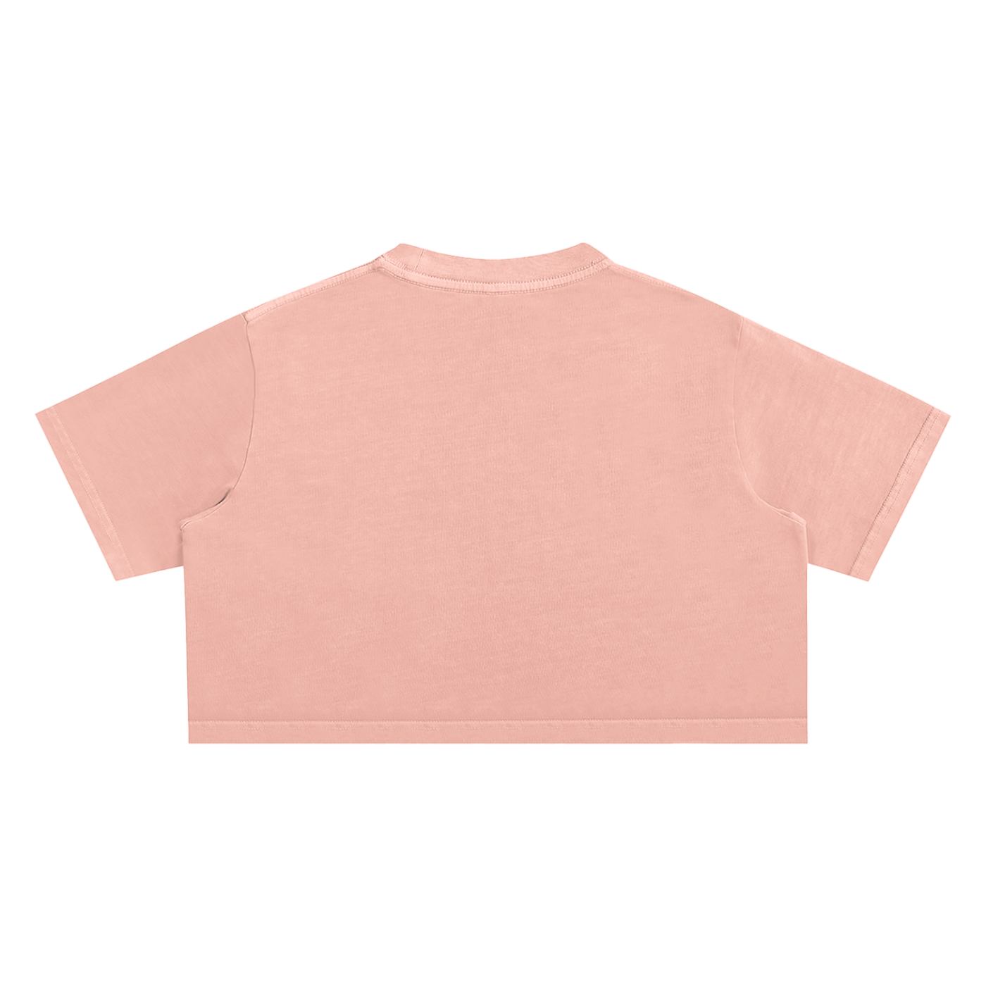 SIMPLE Snow Washed Crop T
