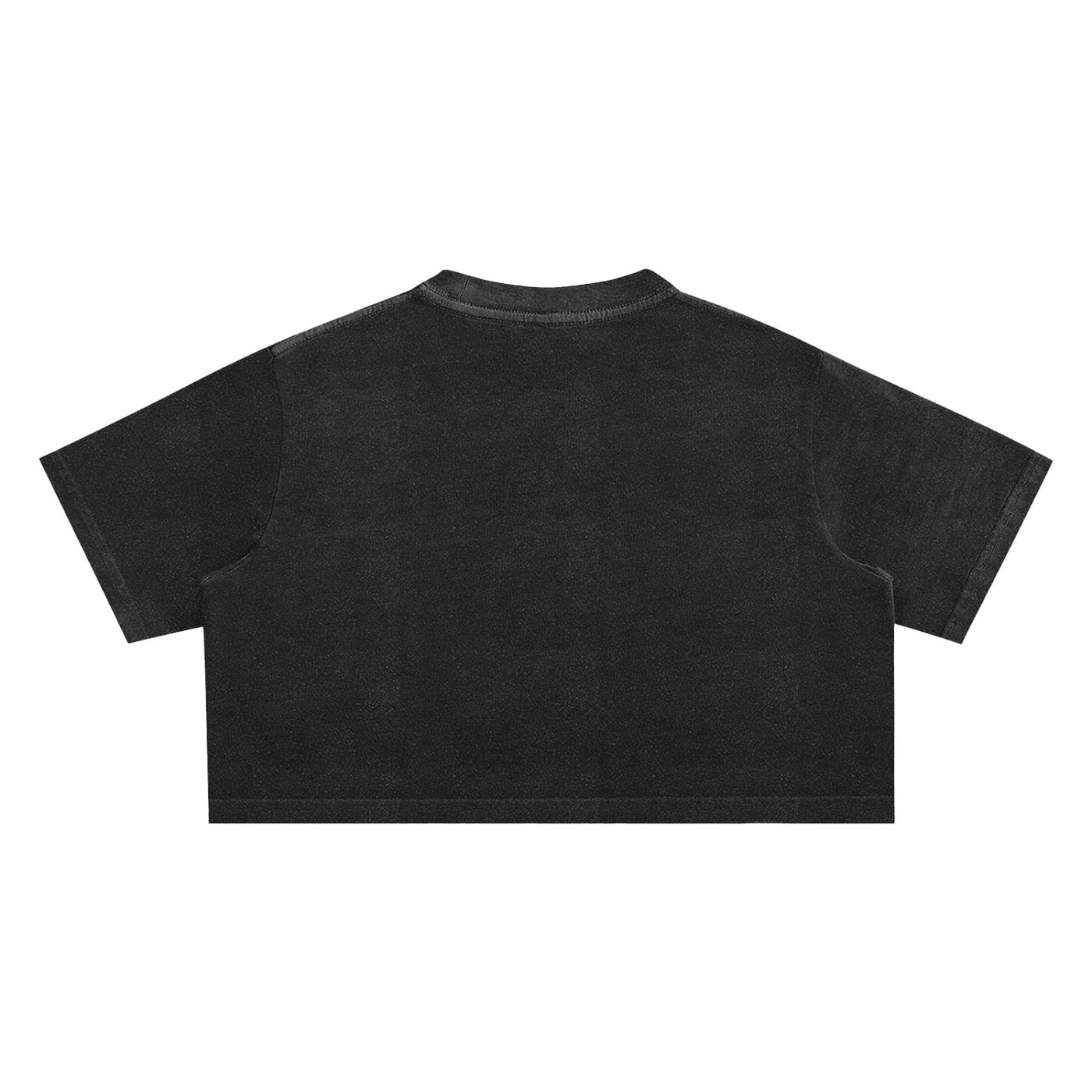 SIMPLE Snow Washed Crop T