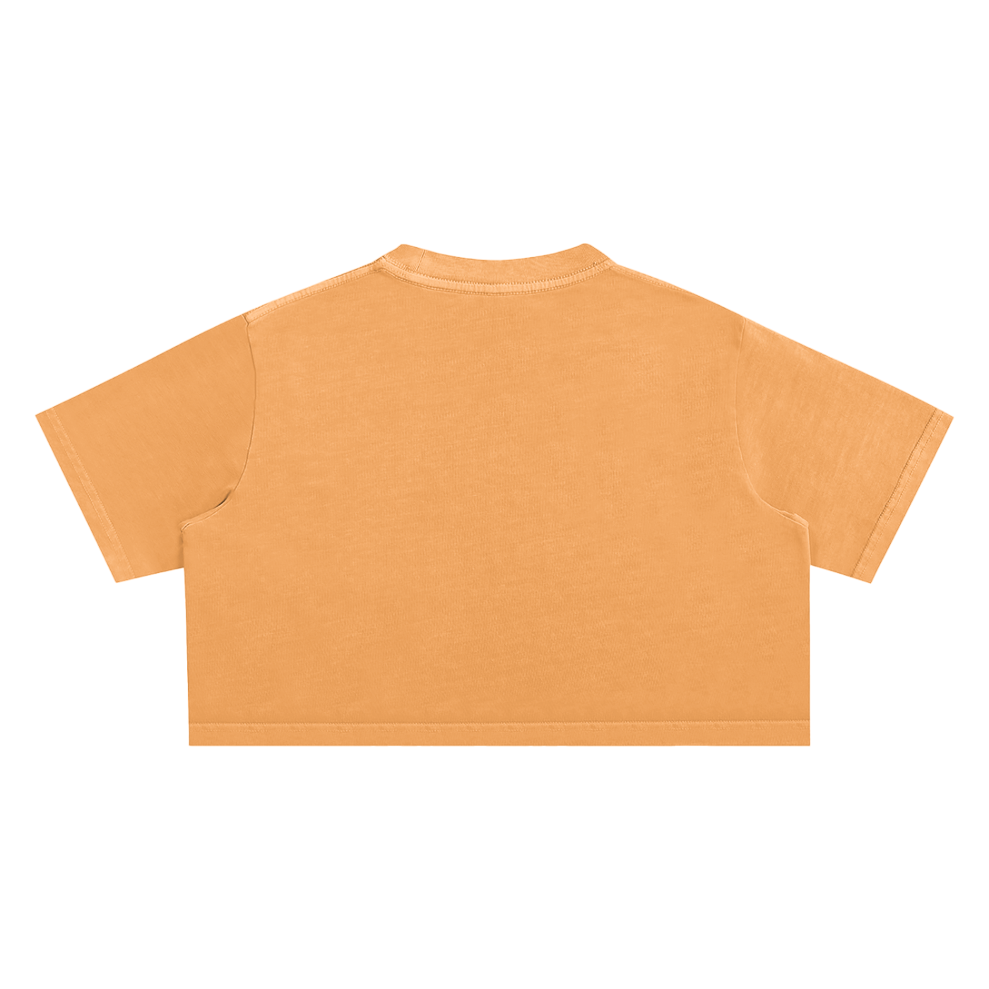 SIMPLE Snow Washed Crop T